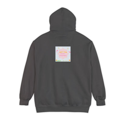 Sophie and Friends Garment-Dyed Hoodie - "Just The Right Ones"